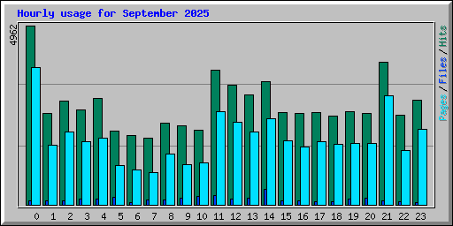 Hourly usage for September 2025