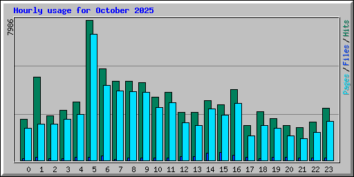 Hourly usage for October 2025