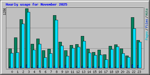 Hourly usage for November 2025