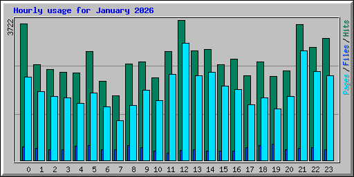 Hourly usage for January 2026