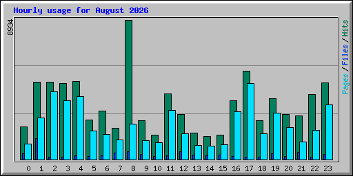 Hourly usage for August 2026