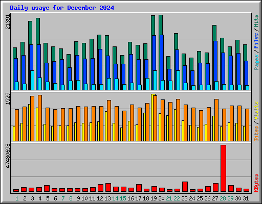 Daily usage for December 2024