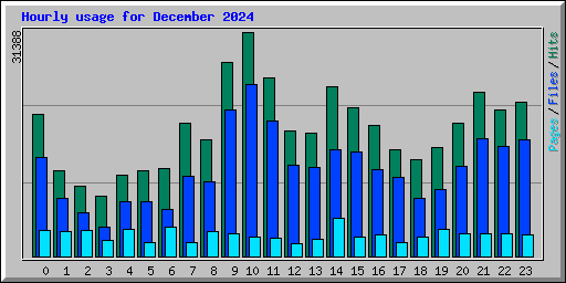 Hourly usage for December 2024