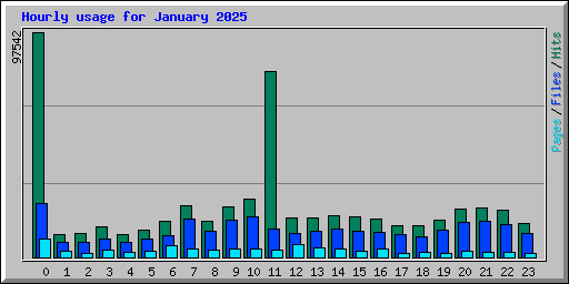 Hourly usage for January 2025
