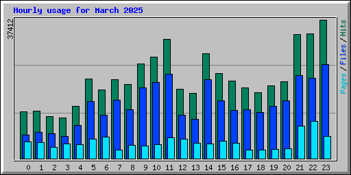 Hourly usage for March 2025