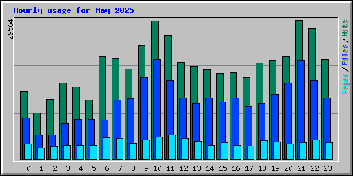 Hourly usage for May 2025