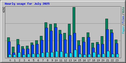 Hourly usage for July 2025