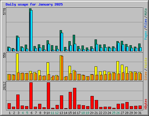Daily usage for January 2025