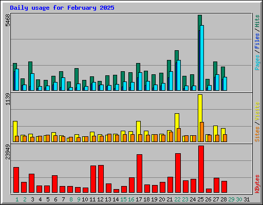 Daily usage for February 2025