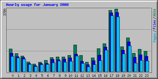 Hourly usage for January 2008