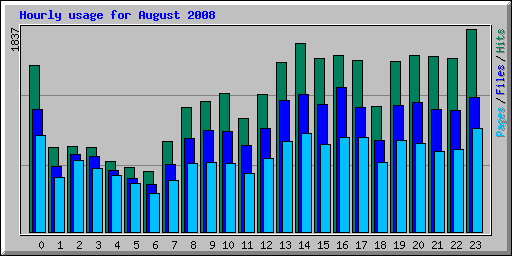 Hourly usage for August 2008