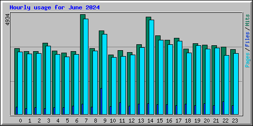 Hourly usage for June 2024