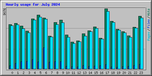 Hourly usage for July 2024