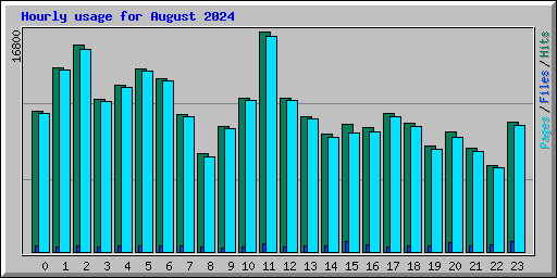 Hourly usage for August 2024