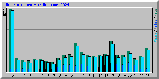 Hourly usage for October 2024