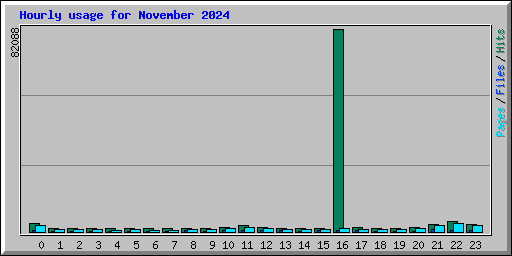 Hourly usage for November 2024