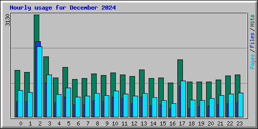 Hourly usage for December 2024