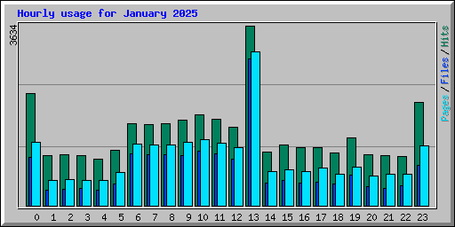 Hourly usage for January 2025