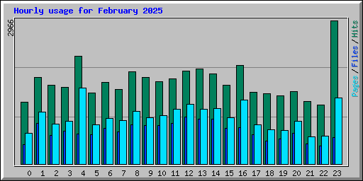 Hourly usage for February 2025