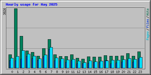 Hourly usage for May 2025