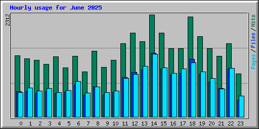 Hourly usage for June 2025
