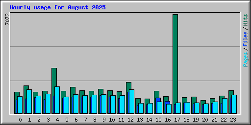 Hourly usage for August 2025