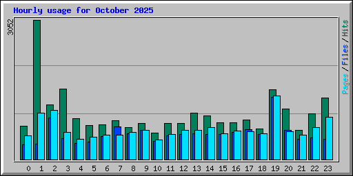 Hourly usage for October 2025