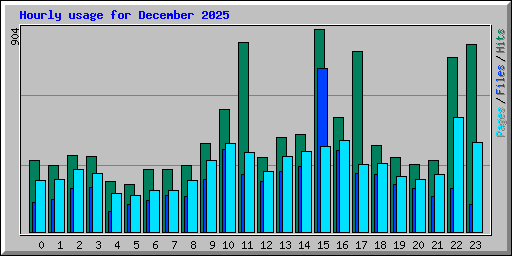 Hourly usage for December 2025