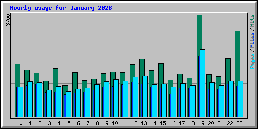 Hourly usage for January 2026