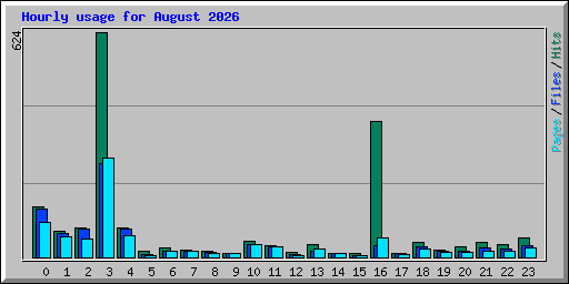 Hourly usage for August 2026