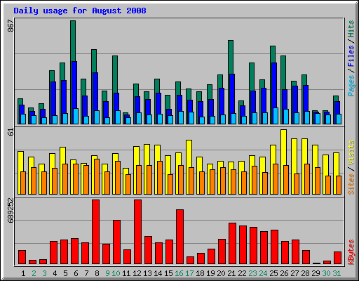Daily usage for August 2008