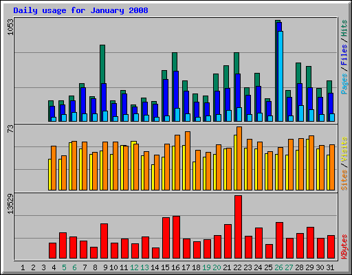 Daily usage for January 2008