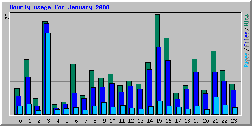 Hourly usage for January 2008