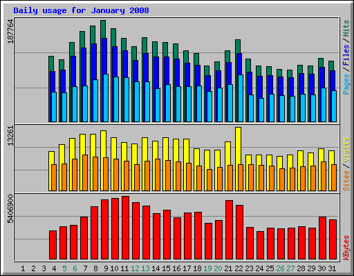 Daily usage for January 2008