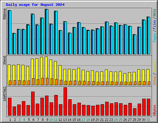 Daily usage for August 2024