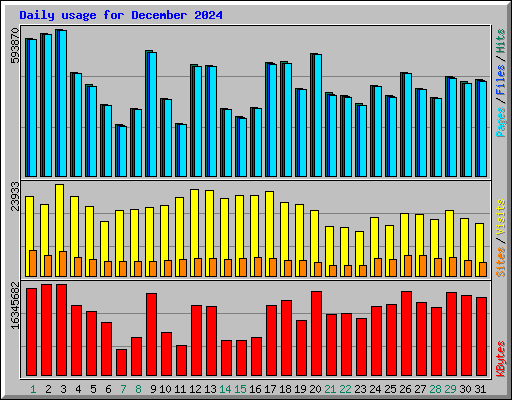 Daily usage for December 2024
