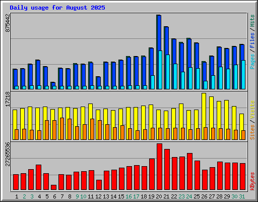 Daily usage for August 2025