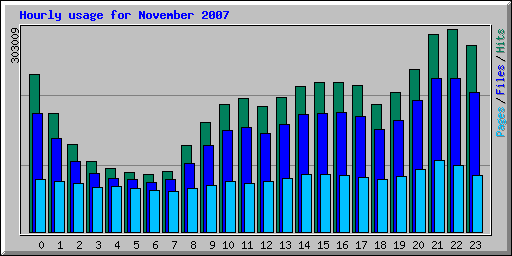 Hourly usage for November 2007