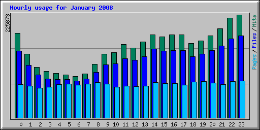 Hourly usage for January 2008