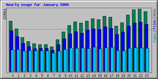 Hourly usage for January 2009
