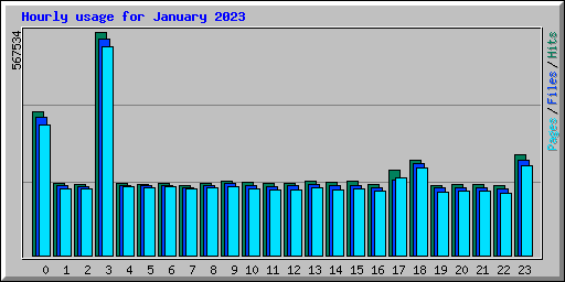 Hourly usage for January 2023