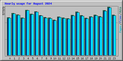 Hourly usage for August 2024