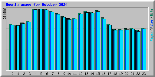 Hourly usage for October 2024