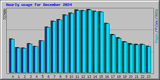 Hourly usage for December 2024