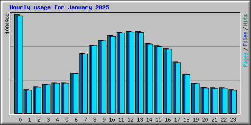 Hourly usage for January 2025