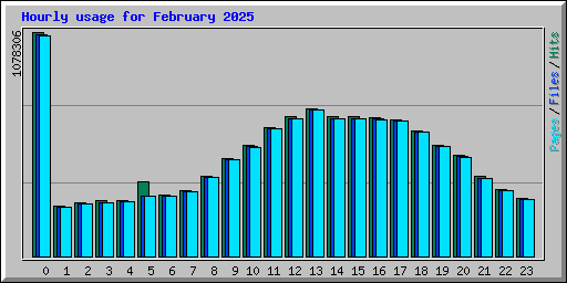 Hourly usage for February 2025
