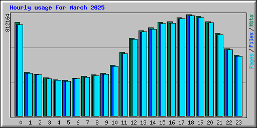 Hourly usage for March 2025