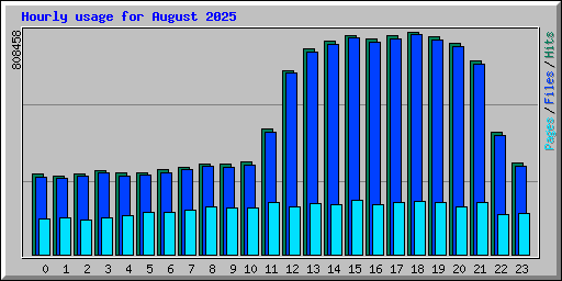 Hourly usage for August 2025