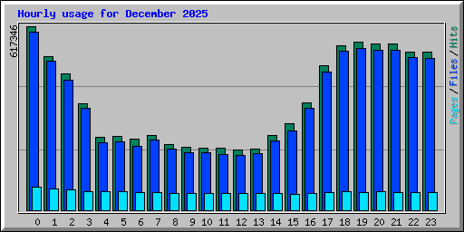 Hourly usage for December 2025