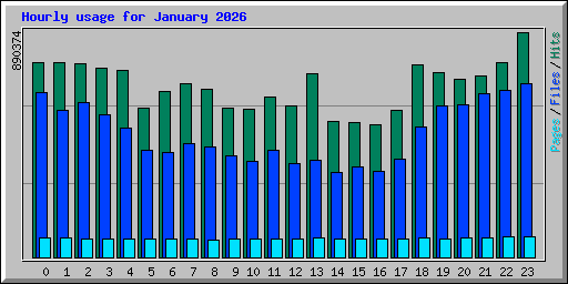Hourly usage for January 2026
